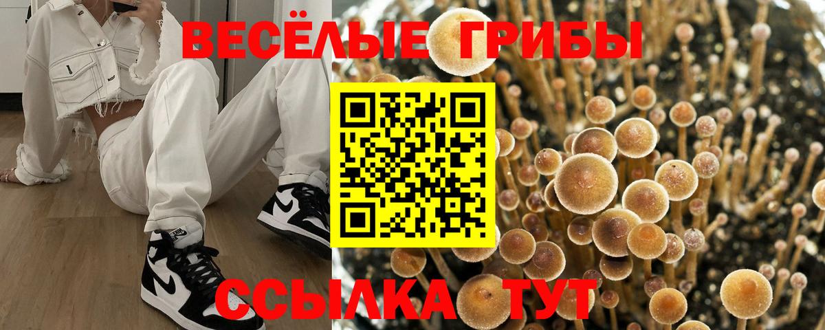 Нальчик  Галлюциногенные грибы GOLDEN TEACHER  Галлюциногенные грибы Psilocybine cubensis  Вход с VPN 
